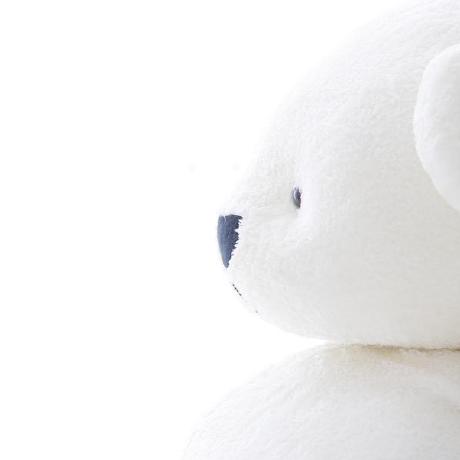Shirokuma (k tanaka)